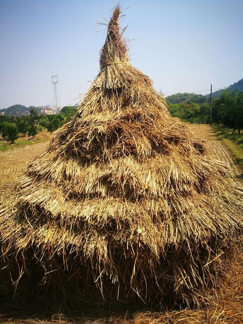 <strong>堆積秸稈不知如何處理？連續式碳化爐成為解決方案</strong>