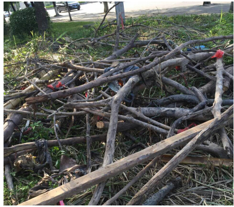 <strong>樹枝碳化功能多，連續式炭化爐高效制炭</strong>